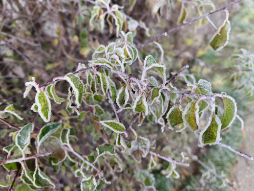 �1673503 �������(a): ����������:1920x1440